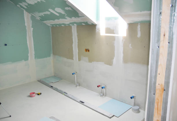 Best Mold Odor Removal Services  in Somerset, TX