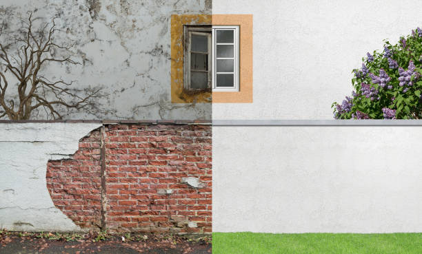 Best Commercial Mold Inspection  in Somerset, TX