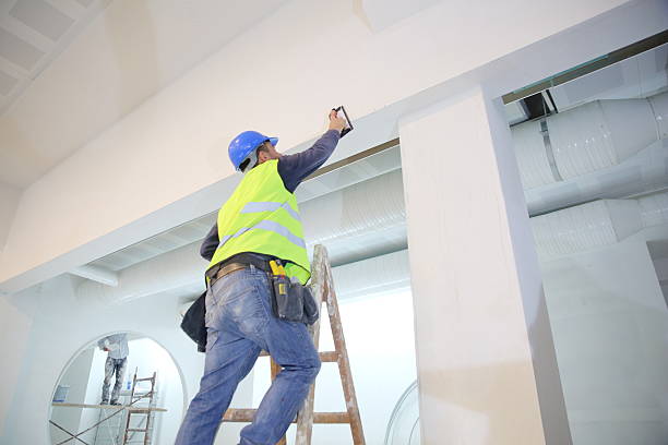 Best Biohazard Mold Removal  in Somerset, TX