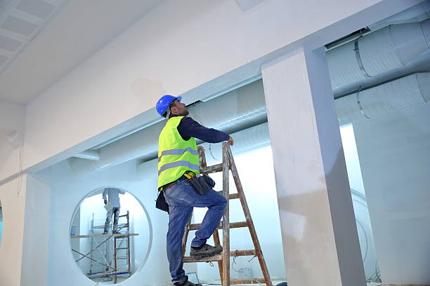 Best Asbestos and Lead Testing During Mold Inspection  in Somerset, TX